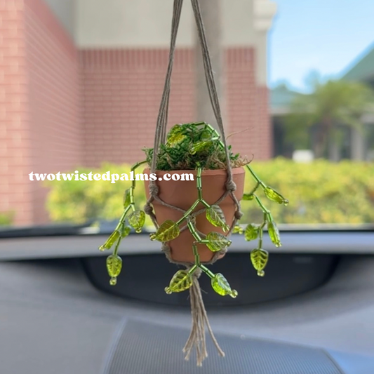 Beaded Plant Oil Diffuser