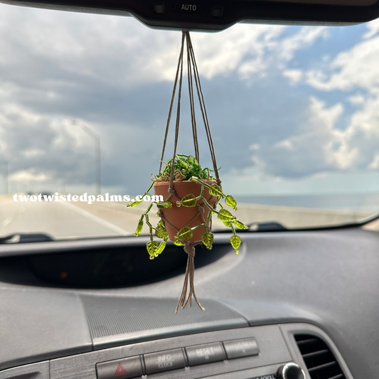 Beaded Plant Oil Diffuser